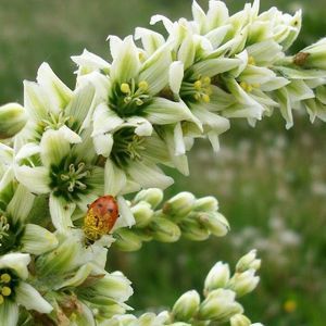 Meet your Posher, Deanne